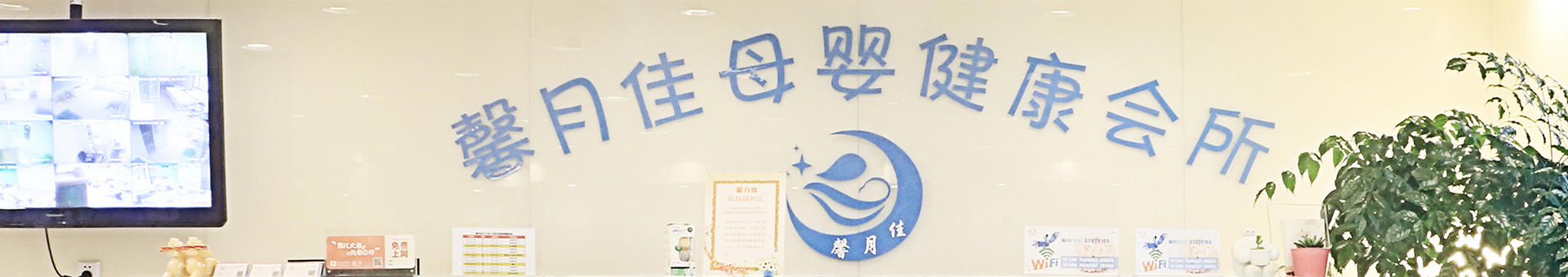 温馨蓝颜套餐-蓝颜
-蓝颜
